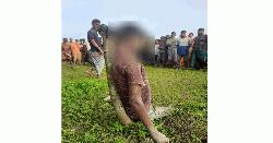 যশোরে ভ্যানচালককে শ্বাসরোধে হত্যা, ভ্যান ও ফোন লুট