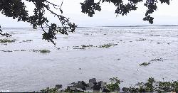 বিপৎসীমার কাছে পদ্মার পানি, ডুবে গেছে চরাঞ্চল