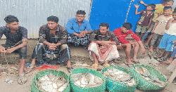 সোনাগাজীতে মাছ চুরির অভিযোগে আটক ৩