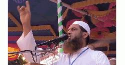 শাপলা চত্বরে বীর শহীদদের সাথে বর্তমান সরকার বেইমানী করেছে : মামুনুল হক