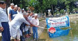 নাগেশ্বরীতে জাতীয় মৎস্য সপ্তাহের উদ্বোধন
