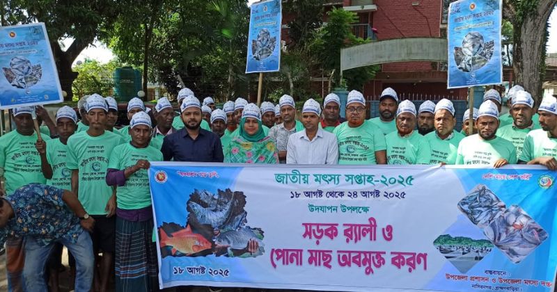 ব্রাহ্মণবাড়িয়ার নাসিরনগরে জাতীয় মৎস্য সপ্তাহের উদ্বোধন