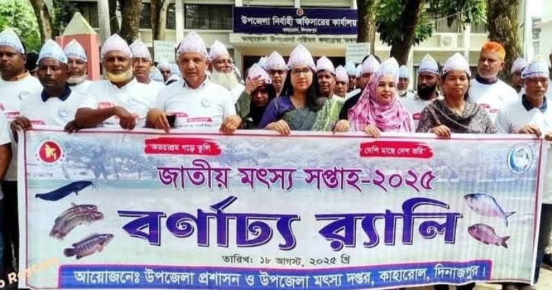 কাহারোলে জাতীয় মৎস্য সপ্তাহ উদযাপন