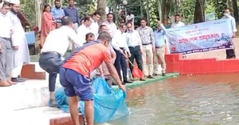 মাগুরায় জাতীয় মৎস্য সপ্তাহ উদযাপন