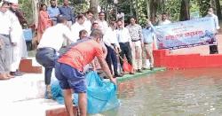 মাগুরায় জাতীয় মৎস্য সপ্তাহ উদযাপন