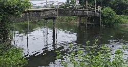 তিন পিলারে দাঁড়িয়ে ঝুঁকিপূর্ণ সেতু, আতঙ্কে ২০ গ্রামের মানুষ