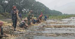 দামুড়হুদায় সোনালী পাটের স্বপ্ন বুনছেন কৃষকরা