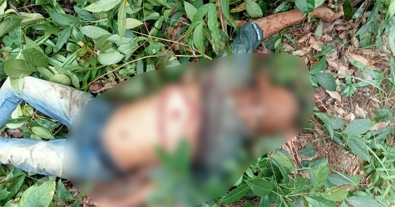 আকস্মিক আঘাত করে মাটিতে ফেলে চুরি দিয়ে গলায় জবাই করে ও পেটে পোঁচ দিয়ে ফেড়ে দিয়ে হত্যা করা হয়।