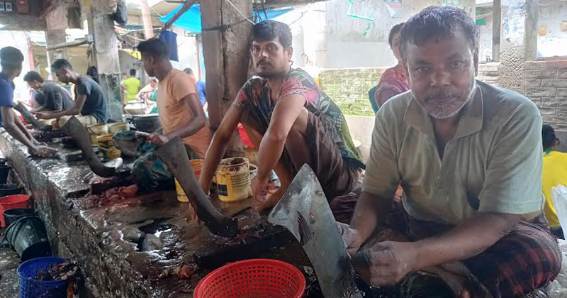 এমন চিত্র নওগাঁ শহরের পাইকারি মাছ বাজারের।