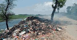 সোনাগাজীতে ময়লা অপসারণ বন্ধ, জনদুর্ভোগ বাড়ছে