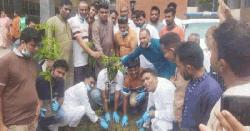 রাজবাড়ীতে স্বেচ্ছাসেবক দলের পরিচ্ছন্নতা অভিযান ও বৃক্ষরোপণ