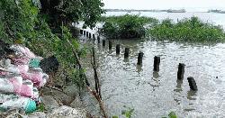 মেঘনার ভাঙনে আতঙ্কে উপকূলীয় বাসিন্দারা 