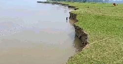 যমুনা নদীর ভয়াবহ ভাঙন, হুমকির মুখে বেড়িবাঁধ 