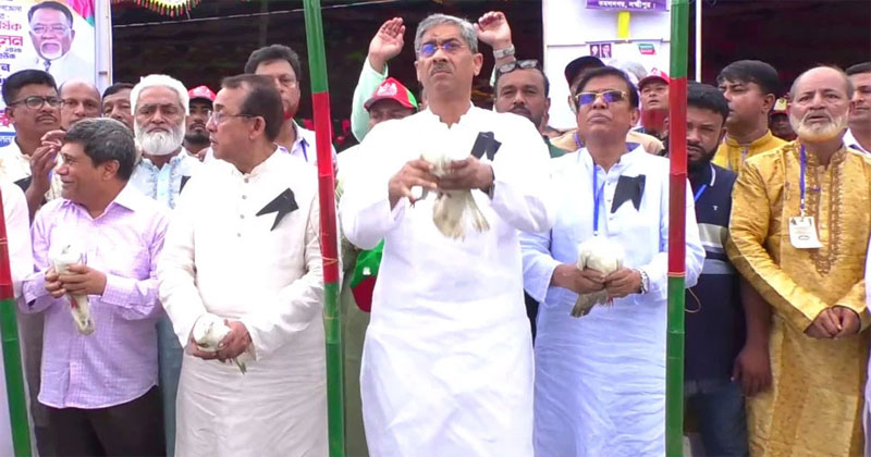 সংগৃহীত ছবি