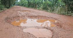 বেহাল আমতলী-তালতলী সড়কের, চরম ভোগান্তি 