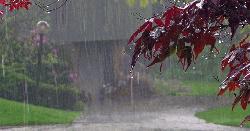 ঢাকায় হালকা বৃষ্টির সম্ভাবনা, কমতে পারে তাপমাত্রা