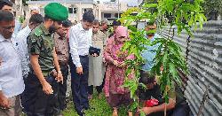কালকিনিতে আনসার ও ভিডিপির উদ্যোগে বৃক্ষরোপণ কর্মসূচি অনুষ্ঠিত