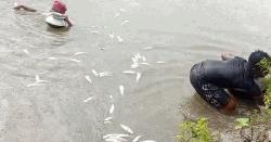 জমি নিয়ে বিরোধ, ঘরে আগুন ও পুকুরে বিষ দিয়ে মাছ নিধনের অভিযোগ