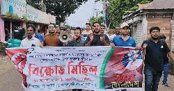 নুরের ওপর হামলার প্রতিবাদে নবীনগরে গণধিকার পরিষদের বিক্ষোভ