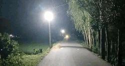 বিদ্যুতের আলোয় আলোকিত হলো ‘মনুপাড়া’
