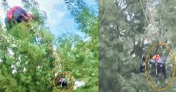 গাছে আটকে ছিলেন পর্যটক, কক্সবাজার সৈকতে প্যারাসেলিং বন্ধের নির্দেশ