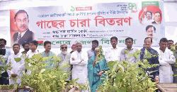 বিএনপির প্রতিষ্ঠাবার্ষিকীতে যশোরে ১ হাজার ৭৫০টি গাছের চারা বিতরণ