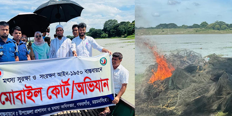 গফরগাঁওয়ে মৎস্য সংরক্ষণ অভিযানে চায়না ও কারেন্ট জাল জব্দ