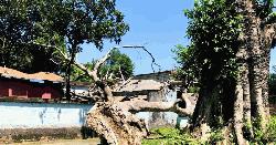 হিলিতে হুমকির মুখে সরকারের কোটি টাকার সম্পদ