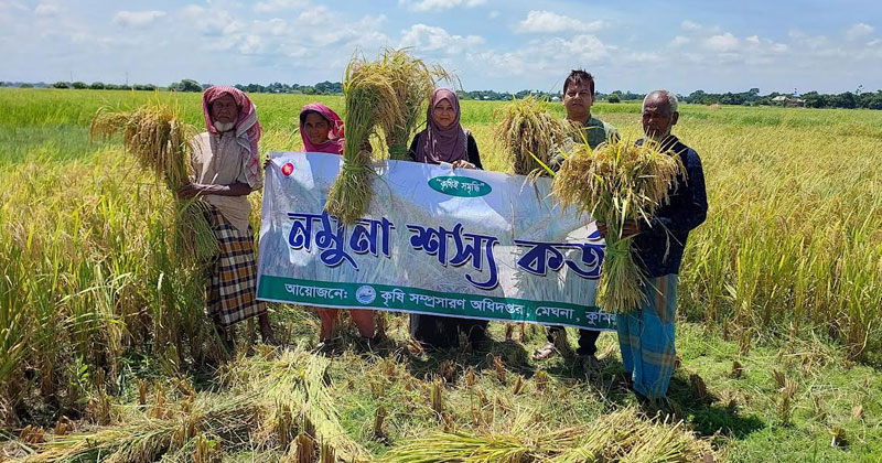 মাত্র এক বছরের ব্যবধানে আবাদ বেড়েছে প্রায় ৫০ শতাংশ