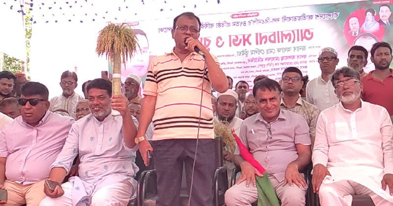 সংগৃহীত ছবি