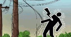 শেয়াল ঠেকাতে পাতা ফাঁদে প্রাণ গেল কৃষকের, আহত ১