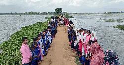 রাণীনগরের মিরাটে ৩ কিলোমিটার কাঁচা রাস্তা পাকাকরণের দাবিতে মানববন্ধন