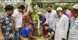 বৃক্ষরোপণ করে বিএনপির ৪৭তম প্রতিষ্ঠাবার্ষিকী পালন