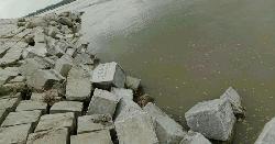 ধরলা প্রকল্পে ধসের আশঙ্কা, আতঙ্কিত কুড়িগ্রামের হাজারো পরিবার