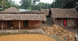 কালের বিবর্তনে হারিয়ে যাচ্ছে বাঁশ-খড়ের তৈরি কুঁড়েঘর 
