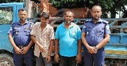 মতলব উত্তরে চোরাই গরু ও পিকআপসহ আটক ২