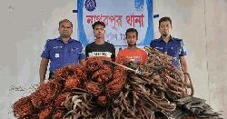 নাগরপুরে বিদ্যুৎ সরঞ্জাম চুরির চক্রের ২ সদস্য গ্রেফতার