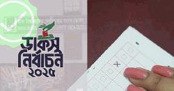 ৫ পৃষ্ঠার ব্যালট, ভোট দেবেন যেভাবে