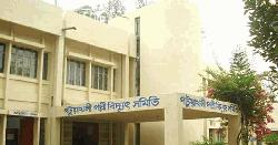পটুয়াখালীতে গণছুটিতে পল্লী বিদ্যুতের ৫১৮ কর্মী