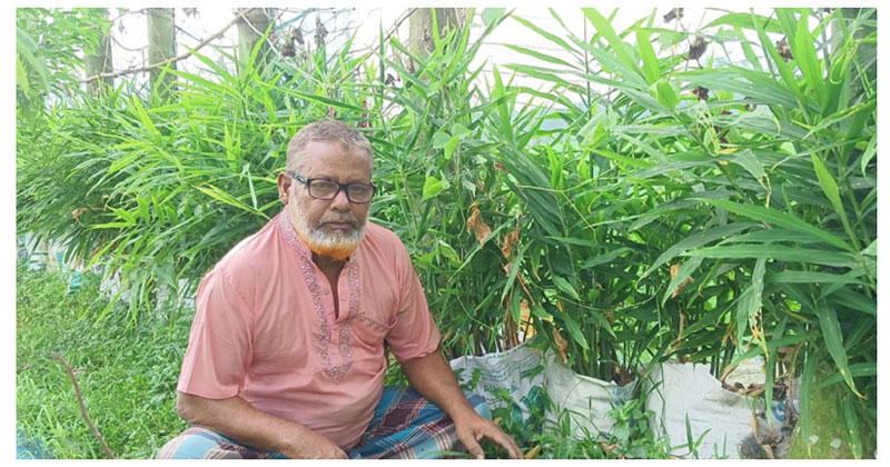 সংগৃহীত ছবি