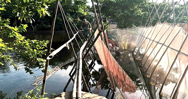 সংগৃহীত ছবি