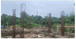 নবীনগরে প্রধান শিক্ষিকার বিরুদ্ধে গাছ বিক্রির অভিযোগ 