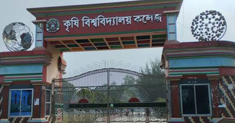 কৃষি বিশ্ববিদ্যালয় কলেজ