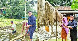 নাগরপুরে সোনালী আঁশে সাফল্যের হাতছানি 