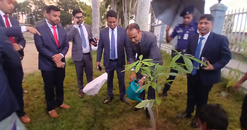 সবুজ ছাতিম রোপণের মধ্যে দিয়ে পটুয়াখালীর নতুন ডিসির যাত্রা