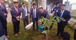 সবুজ ছাতিম রোপণের মধ্যে দিয়ে পটুয়াখালীর নতুন ডিসির যাত্রা