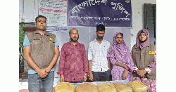 নওগাঁয় গাঁজাসহ স্বেচ্ছাসেবক দল নেতা গ্রেপ্তার