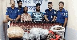 বগুড়ার বাশফোঁড় কলোনীতে গাঁজা-মদের আস্তানা উন্মোচন