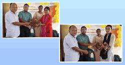 কাহারোলে ১১০ দরিদ্র পরিবারের মাঝে উন্নত জাতের সোনালী মুরগি বিতরণ