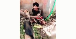 চোর সন্দেহে যুবককে কুকুর লেলিয়ে নির্যাতন, আটক ৩